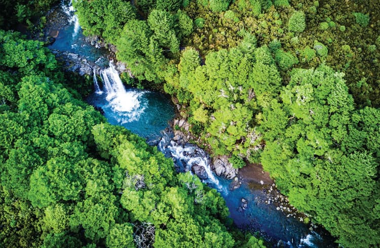 Environmental Positive Impact | Dalkia | Together to Net Zero