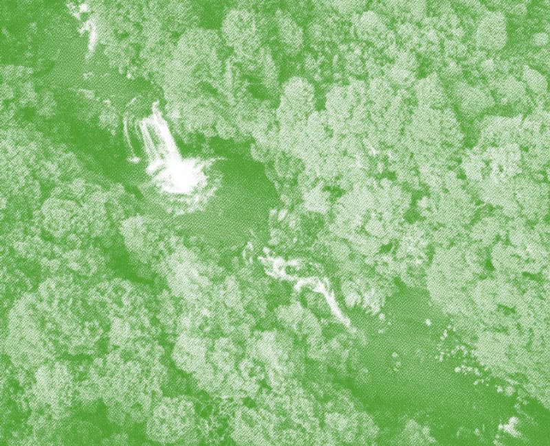 Environmental Positive Impact – Responsibility – Dalkia Environmental Positive Impact - Responsibility - Dalkia